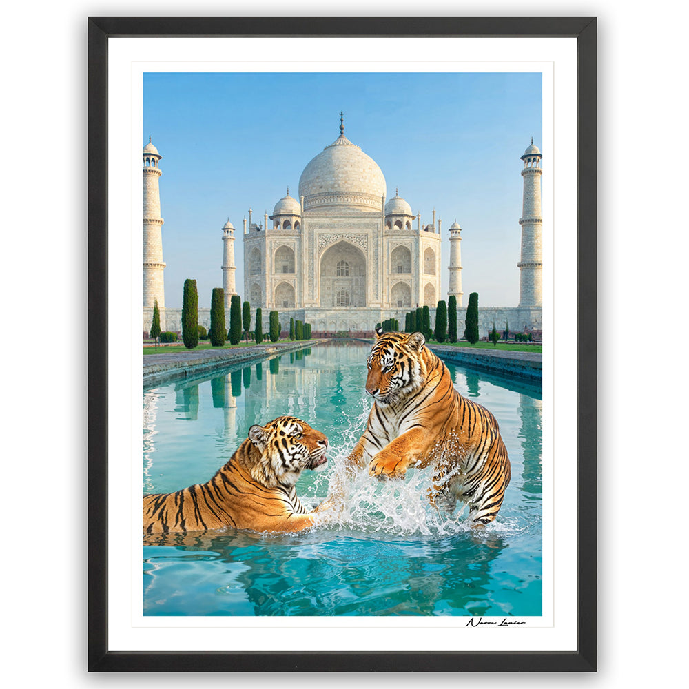 Tigers at the Taj