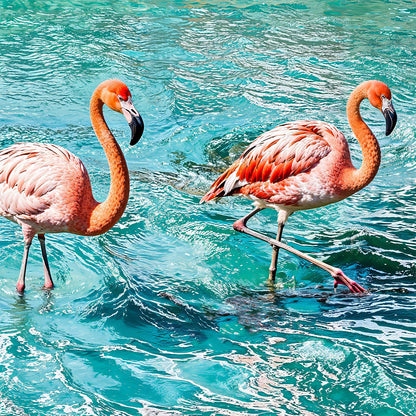 Flamingos in Trevi Fountain