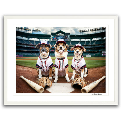 Major Dog Baseball